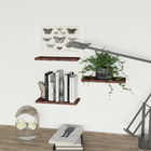 Kit 3 Prateleiras Nicho Lisas Mdf Kit 30x15cm Castanho Bronze