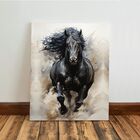 Kit 3 Quadro Decorativo Cavalo Branco Animal Placa Equino 28x