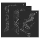 Kit 3 Quadro Decorativo Circuitos Formula Carro Interlagos 28