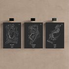 Kit 3 Quadro Decorativo Circuitos Formula Carro Interlagos 40