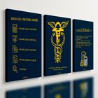Kit 3 Quadro Decorativo Contabilidade Escritório Contábeis 40