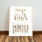 Kit 3 Quadro Decorativo Dentista Odontologia Consultório 28x2