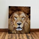 Kit 3 Quadro Decorativo Leão De Judá Cristã Gospel Sala 28x20