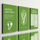 Kit 3 Quadro Decorativo Medicina Veterinária Clinica Quarto 2