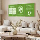 Kit 3 Quadro Decorativo Medicina Veterinária Clinica Quarto 2