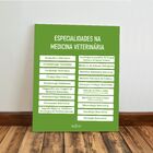 Kit 3 Quadro Decorativo Medicina Veterinária Clinica Quarto 4