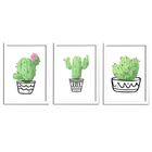 Kit 3 Quadros 48 X 35 Pretos Decorativo Tema Cactus