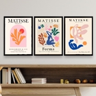 Kit 3 Quadros Abstratos Formas De matisse 24x18cm - Com Vidro