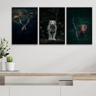 Kit 3 Quadros Animais- Vida Selvagem 33x24cm - Com Vidro Mold