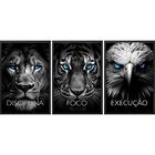 Kit 3 Quadros Animais Disciplina Foco Execução 45x34cm Moldur