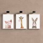 Kit 3 Quadros Bichinhos Chicletes Rosa 45x34cm - Com Vidro Mo