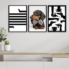 Kit 3 Quadros Cão Raça Dachshund - Salsicha 45x34cm - Com Vid