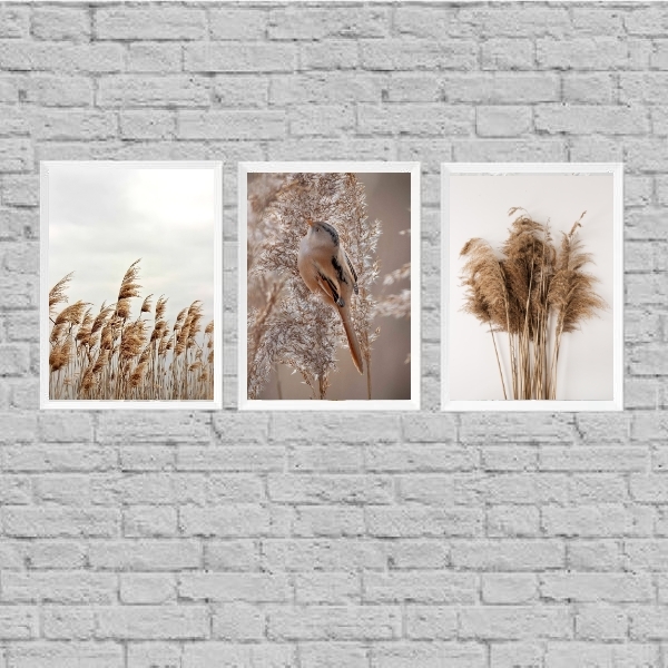 Kit 3 Quadros Capim Dos Pampas E Passarinho 24x18cm Moldura:m