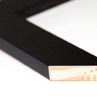 Kit 3 Quadros Com Moldura Branca Minimalista Planta 60x40cm