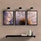 Kit 3 Quadros Complementares Dente De Leão 33x24cm - Com Vidr