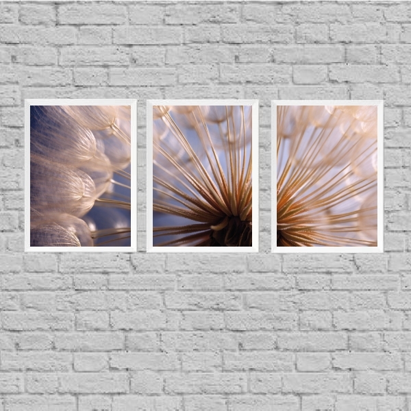 Kit 3 Quadros Complementares Dente De Leão 33x24cm Moldura:ma