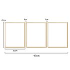 Kit 3 Quadros Decoração Sala Estar Moldura Caixa Luxo Folhas
