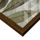 Kit 3 Quadros Decorativo Orgânico Abstrato Soft Green Elegant