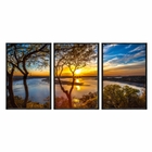 Kit 3 Quadros Decorativos 40x60cm Vidro Arvores Rio Ao Por Do