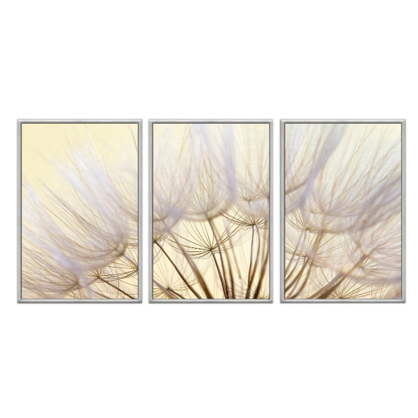 Kit 3 Quadros Decorativos 40x60cm Vidro Dente De Leão Outono