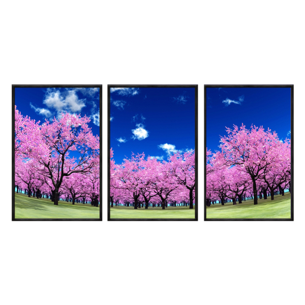 Kit 3 Quadros Decorativos  40x60cm Canvas Cerejeiras Rosa Céu