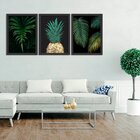 Kit 3 Quadros Decorativos Abacaxi E Palmeira