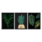 Kit 3 Quadros Decorativos Abacaxi E Palmeira