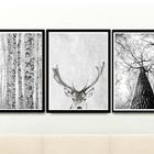 Kit 3 Quadros Decorativos C/ Moldura Floresta P&b