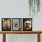Kit 3 Quadros Decorativos Cachorro Caramelo 33x24cm - Com Vid
