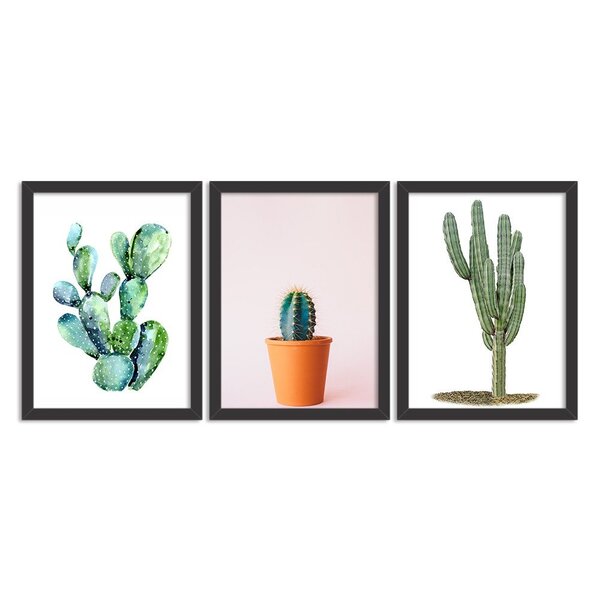 Kit 3 Quadros Decorativos Cactos