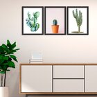 Kit 3 Quadros Decorativos Cactos