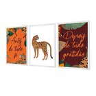 Kit 3 Quadros Decorativos Colorido Frases Gratidão Onça