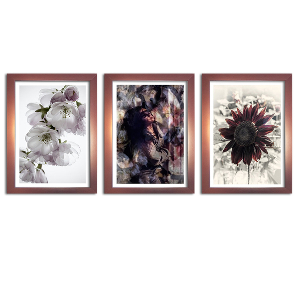 Kit 3 Quadros Decorativos Com Moldura Rose Alma Flores
