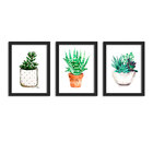 Kit 3 Quadros Decorativos Com Moldura Vaso Planta Botânico