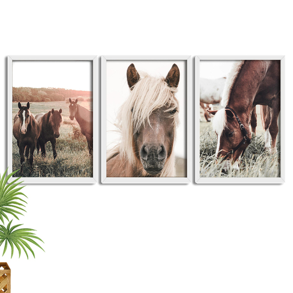 Kit 3 Quadros Decorativos Com Molduras Horse Farm