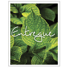 Kit 3 Quadros Decorativos Conjunto Moderno com Moldura Madeir