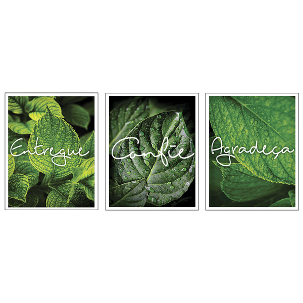 Kit 3 Quadros Decorativos Conjunto Moderno com Moldura Madeir