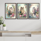 Kit 3 Quadros Decorativos Coruja Vintage 24x18cm - Com Vidro