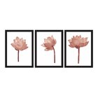 Kit 3 Quadros Decorativos Flor De Lótus Rosa