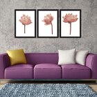Kit 3 Quadros Decorativos Flor De Lótus Rosa
