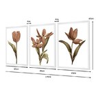 Kit 3 Quadros Decorativos Floral Rosa Minimalista