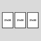 Kit 3 Quadros Decorativos Flores 21x30 Pvc Luven Bra