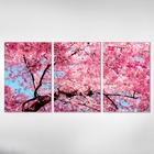 Kit 3 Quadros Decorativos Flores Sakuras Cerejeiras
