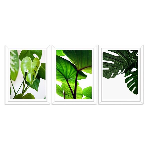 Kit 3 Quadros Decorativos Folhagens