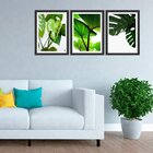 Kit 3 Quadros Decorativos Folhagens