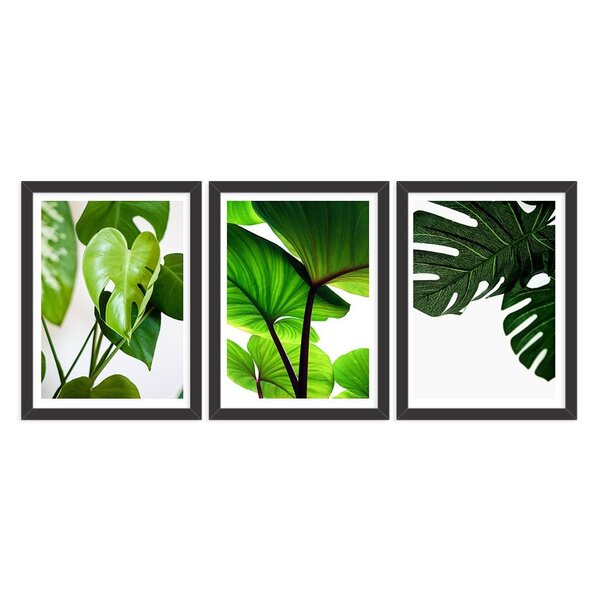 Kit 3 Quadros Decorativos Folhagens