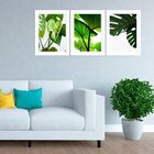Kit 3 Quadros Decorativos Folhagens
