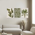 Kit 3 Quadros Decorativos Folhagens Plantas Verdes