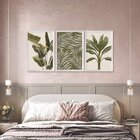Kit 3 Quadros Decorativos Folhagens Plantas Verdes