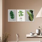 Kit 3 Quadros Decorativos Folhagens Verde Plantas